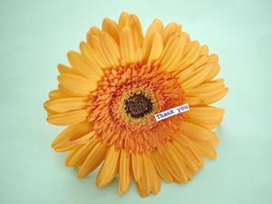 メイク用品も小物もスッキリ収納！大人気のがま口化粧ポーチを徹底比較