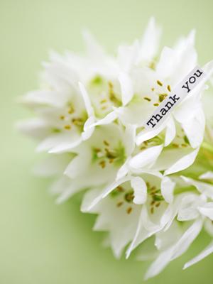 伝統に彩られたハワイアンジュエリー